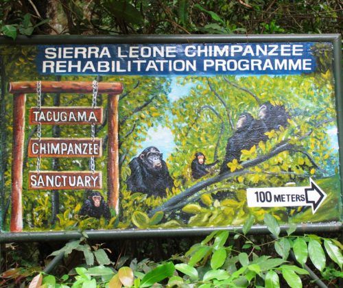 Tacugama Chimpanzee Sanctuary